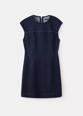 Seamed denim dress
